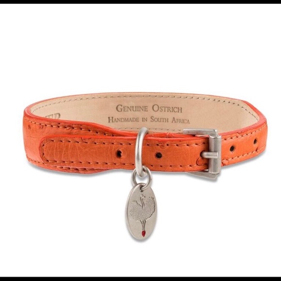 Handmade Ostrich Dog Collar - Picture 5 of 7